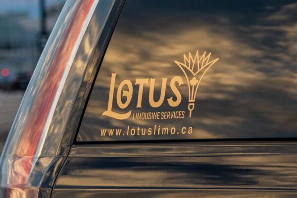 lotuslimoescalade Lotus Limo reflection